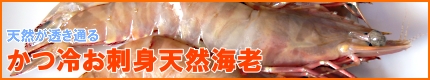 ���₨�h�g�V�R����