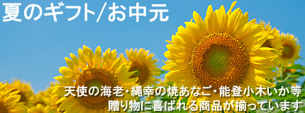 �ẴM�t�g