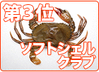 �O�ʖ����䂫���� ��T�C�Y �i�P�S�`�Q�O���^���j �P�O���p�b�N
