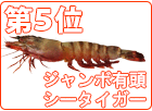 �܈ʗⓀ�ނ����т̃u���[�N���w�ӂ��낢�̊C�V�����x