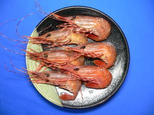 ボタンえび通販の特正