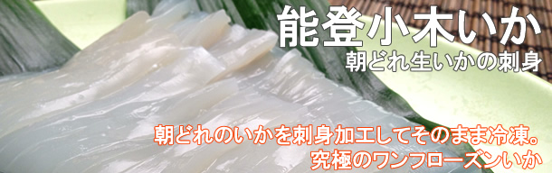 能登小木いか 朝どれ生いかの刺身 通販 販売の 特正 です