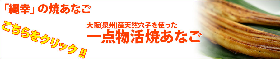 大阪(泉州)産活焼あなご